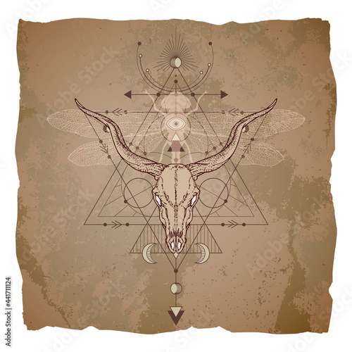 Vector illustration with hand drawn antelope skull, dragonfly and Sacred geometric symbol on vintage paper background with torn edges.