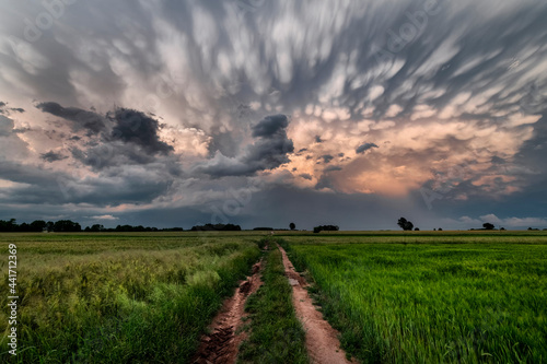 Big storm cloud over the fields - mammatus clouds photo