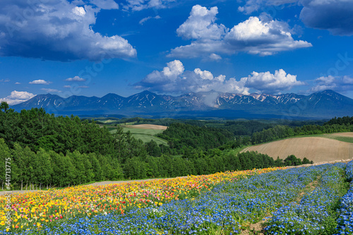 Fotolia アドビストックのデザイン かべいろ Com おしゃれ壁紙リフォーム貼り替え インクジェット壁紙のかべいろ Com Fotolia アドビストックのデザイン かべいろ Com おしゃれ壁紙リフォーム貼り替え インクジェット壁紙のかべいろ Com