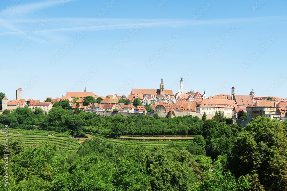 The panorama of vineyards and red tiled roof houses in Rothenburgob der Tauber