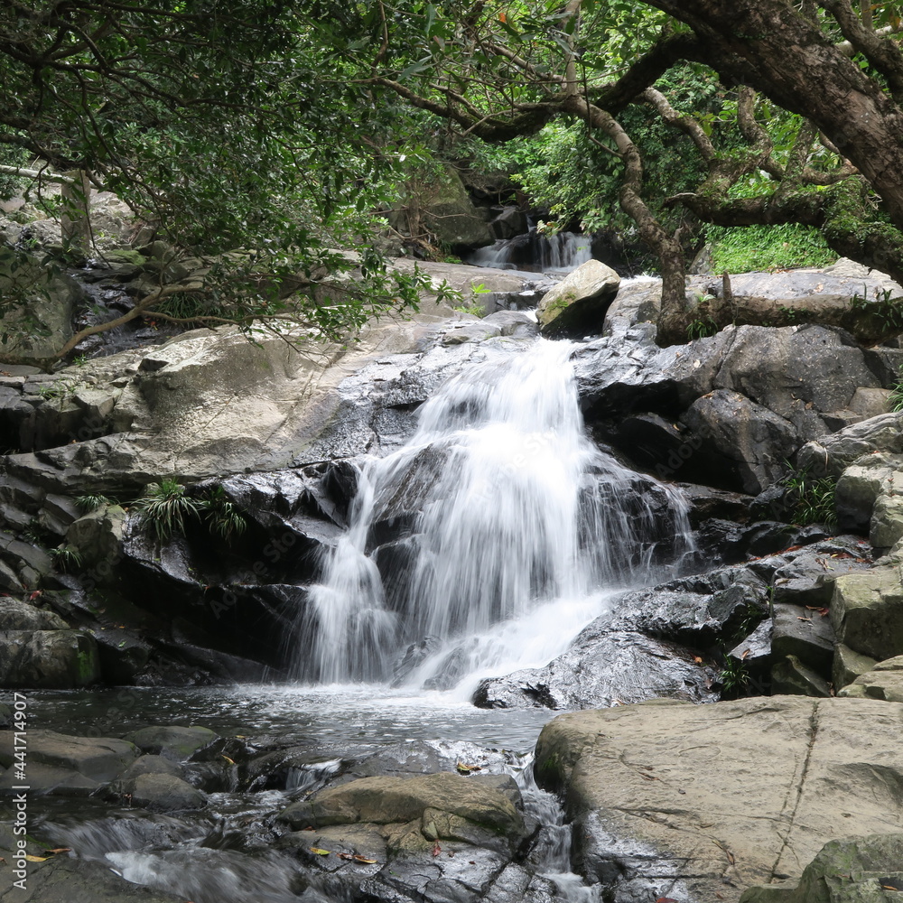 Fototapeta premium Small waterfall in Little Hawaii Trail in Hong Kong