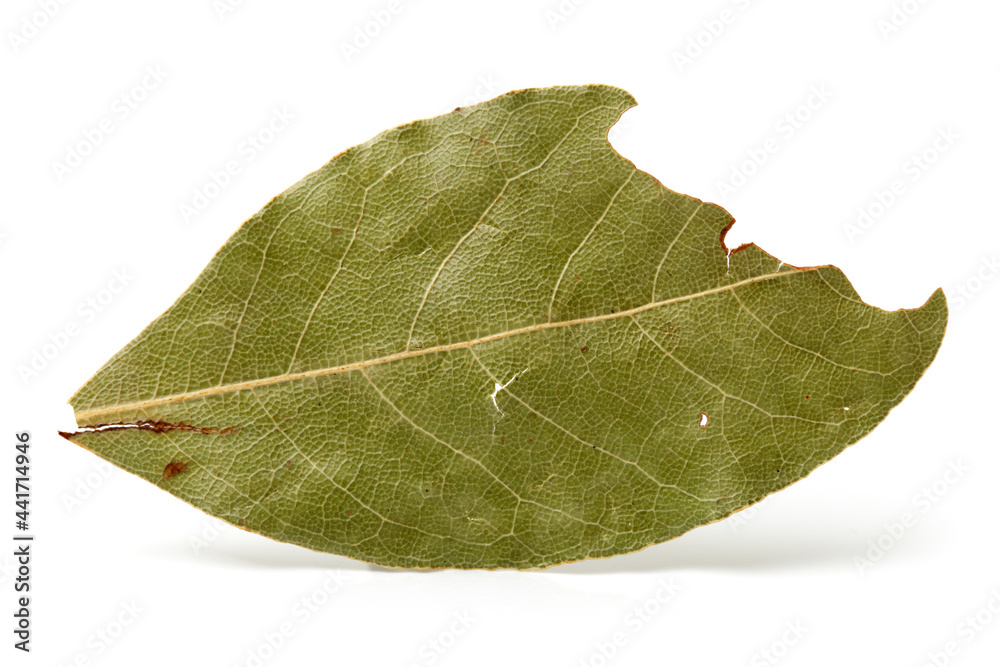 Fototapeta premium Aromatic bay leaves isolated on white background