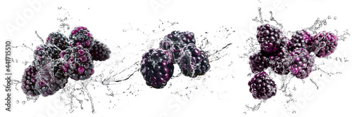 Fresh Blackberries with water splash on isolated white background	
