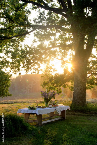 Giant wooden picnic table in scenic park with old trees, yellow sunset light. Outdoor Table food lunch concept