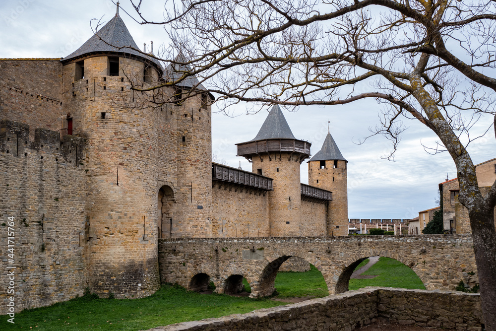 A tree by the bridge and entrance of the citadel of the Cité de Carcassonne, the fortified castle city of Carcassonne, department of Aude, Occitanie region, France. UNESCO World heritage site.