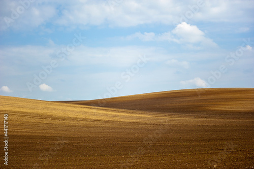 A landscape of the hilly plowed field. High quality photo