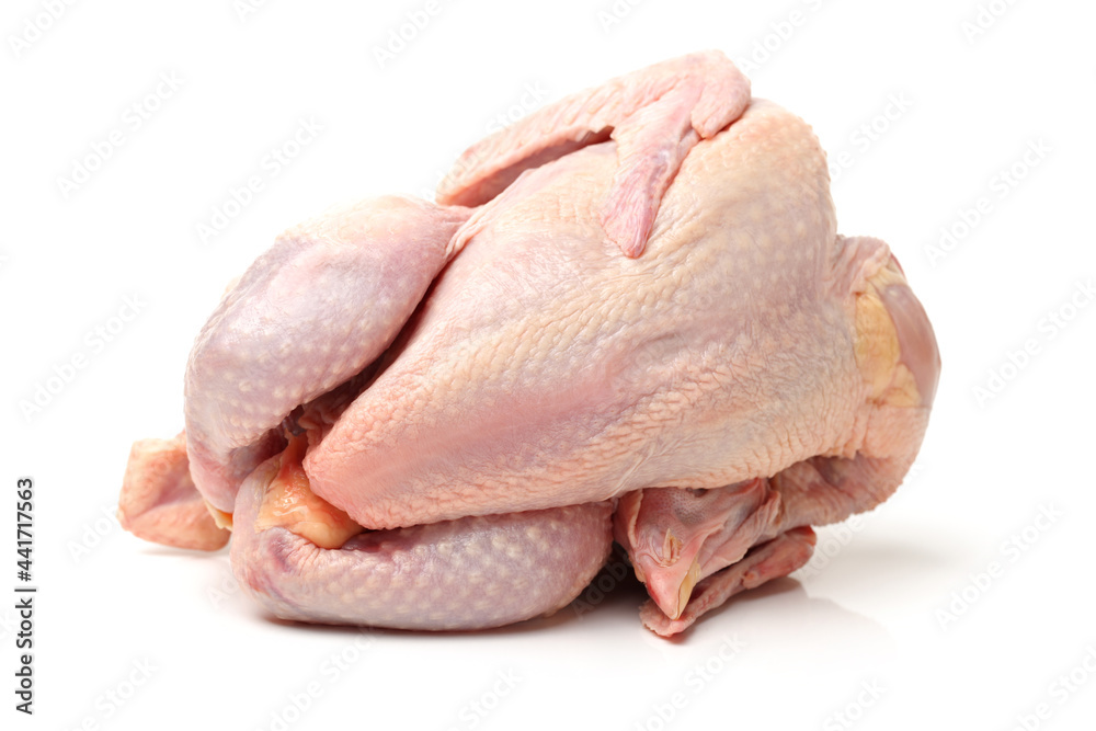 Raw fresh chicken isolated on white background Raw fresh chicken isolated on white background