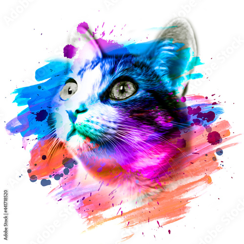 cat head with creative abst...