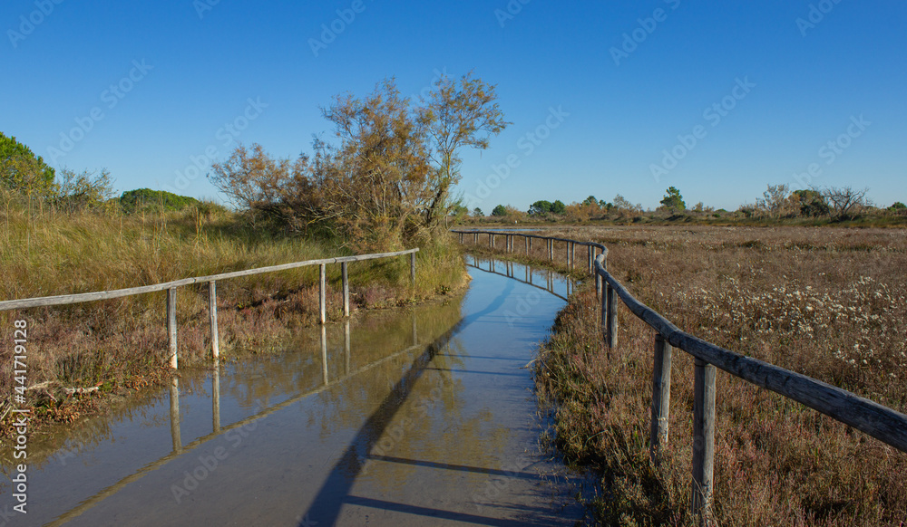 Autumn in the Botanical Garden of Porto Caleri, Italy. Trail flooded due to high tide. Fence reflecting in the water.