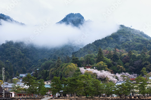宮島、春、桜、霧、雲、きれい、雰囲気、神社、仏閣、山、海、厳島神社、風景、自然、日本、観光地、観光、名所、旅行