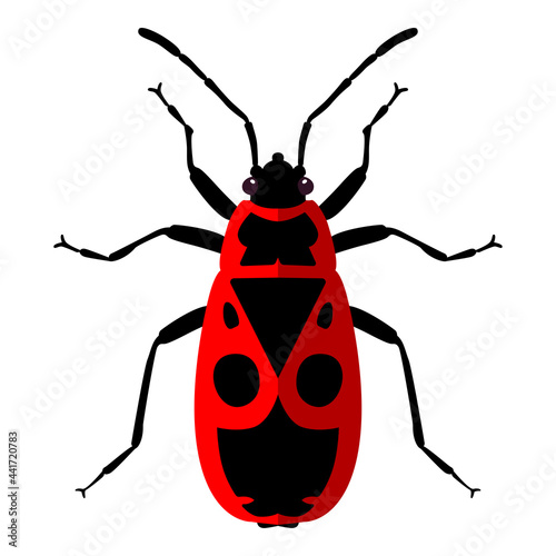 Firebug. Vector illustration. Isolated on a white