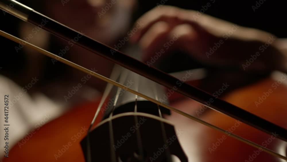 Strings and bow of cello closeup, bottom view. Playing an instrument and enjoying classical music. Macro view strings and bow