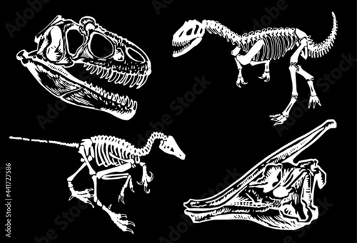 Graphical paleontological collection, hand-drawn dinosaurs isolated on  black background	