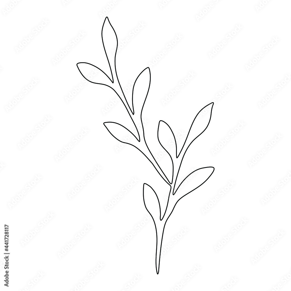 Plant with leaves. Vector outline element for design. Plant with leaves. Vector outline element for design.