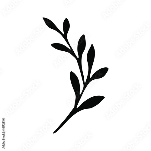 Silhouette of a twig of a plant with leaves. Vector element for the design. Monochrome illustration.