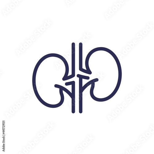 kidneys, nephrology line icon, vector photo