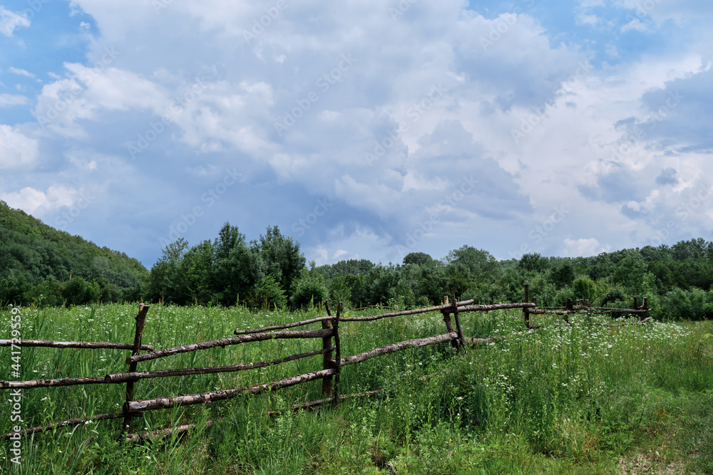 Rural area and tottering fence encloses clearing. Old wooden fence made of twigs and sticks in village on abandoned farm is overgrown with grass and wild flowers.