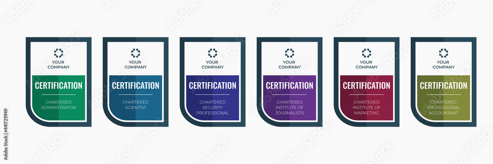 Certification badge business in category template. Emblem certified chartered icon vector illustration.