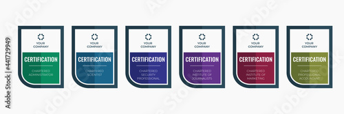 Certification badge business in category template. Emblem certified chartered icon vector illustration.
