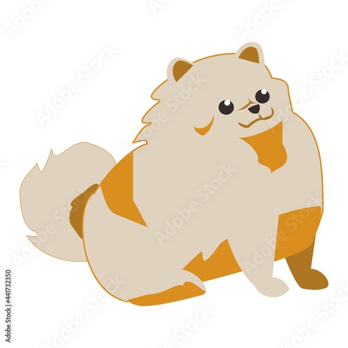 Pomeranian spitz Flat vector icon illustration on white background