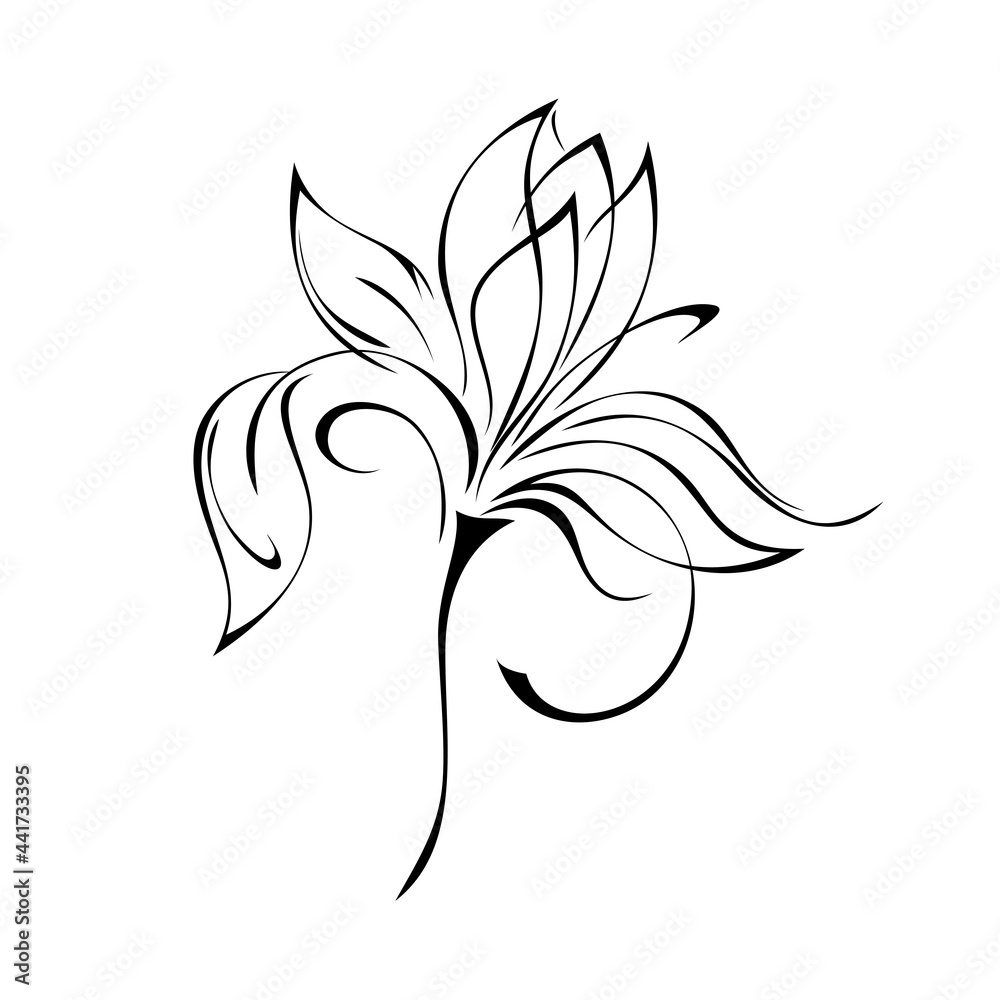 ornament 1828. one stylized flower with large petals on a short stalk in black lines on a white background ornament 1828. one stylized flower with large petals on a short stalk in black lines on a white background