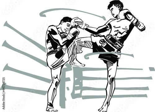 the vector illustration of the muay thai fighter