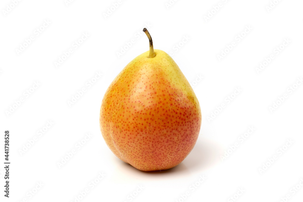 One fresh trout pears are red and yellow isolated on a white background. One fresh trout pears are red and yellow isolated on a white background.