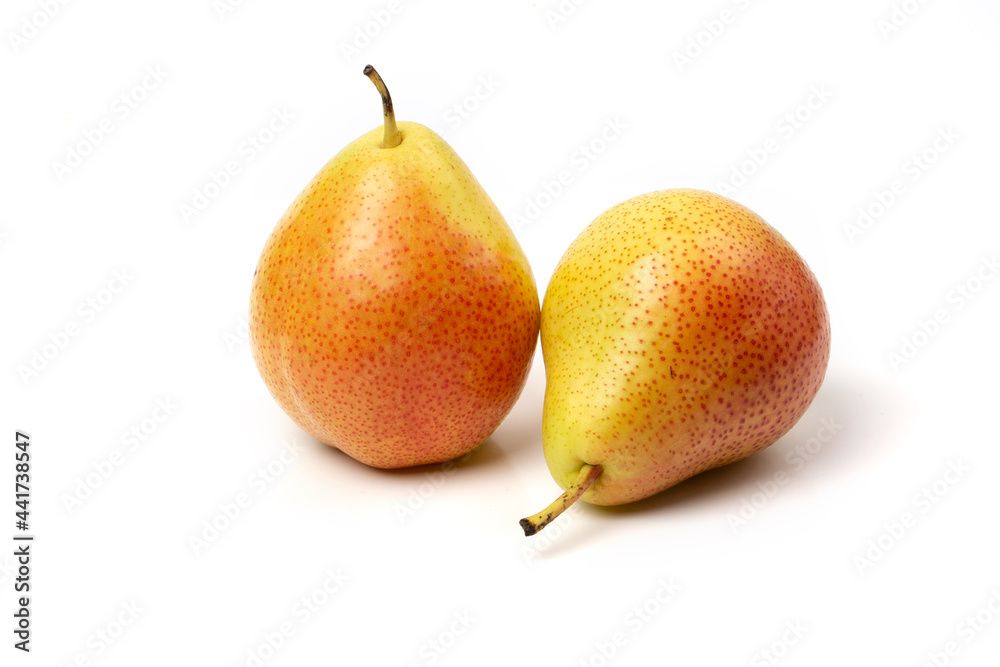 Two fresh trout pears are red and yellow isolated on a white background. Two fresh trout pears are red and yellow isolated on a white background.