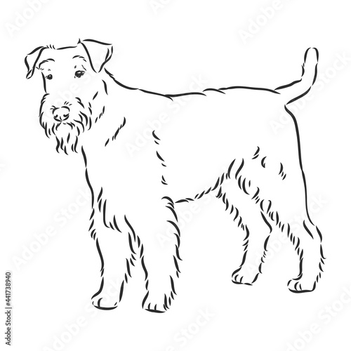 Airedale Terrier Dog. hand drawn. Vector illustration