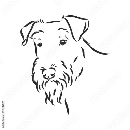 Airedale Terrier Dog. hand drawn. Vector illustration