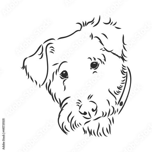 Airedale Terrier Dog. hand drawn. Vector illustration