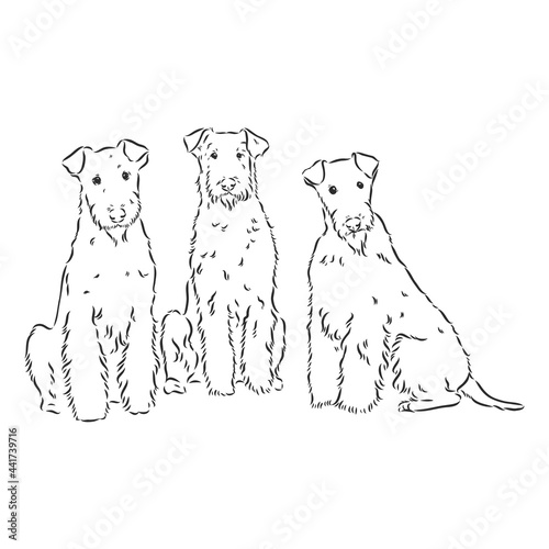 Airedale Terrier Dog. hand drawn. Vector illustration