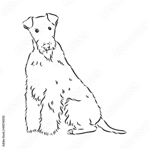 Airedale Terrier Dog. hand drawn. Vector illustration