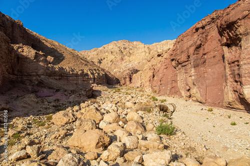 The stone desert