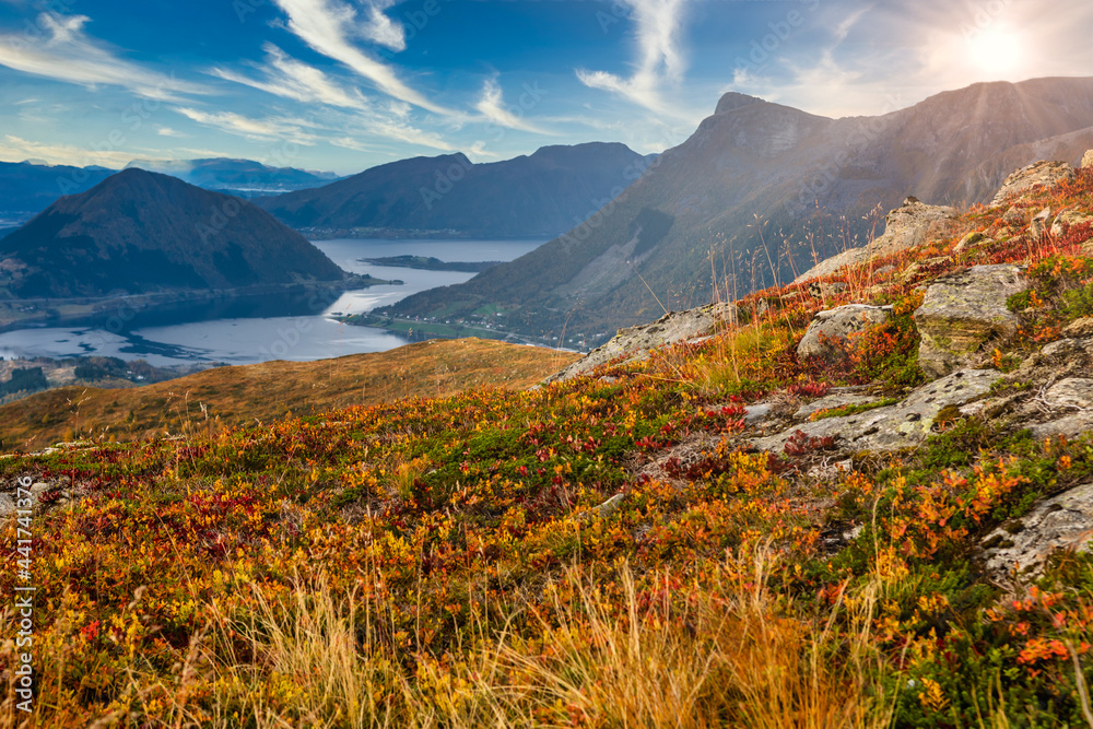 Obraz premium Golden October, autumn in Norway with blue sky and sunflare near Volda, Orsta