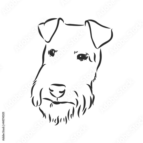 Airedale Terrier Dog. hand drawn. Vector illustration
