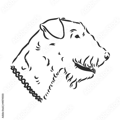 Airedale Terrier Dog. hand drawn. Vector illustration