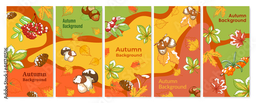 Collection of colorful hand drawn autumn background vector illustration in engraved style