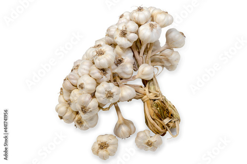 Top view of garlic on white isolated