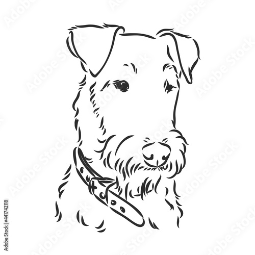 Airedale Terrier Dog. hand drawn. Vector illustration