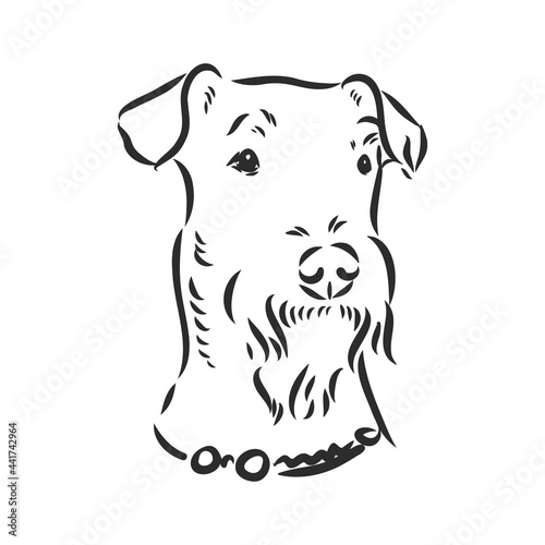 Airedale Terrier Dog. hand drawn. Vector illustration