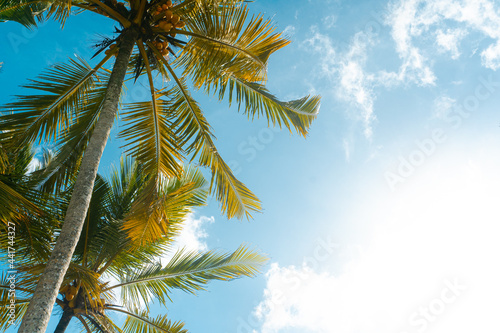Tropikalny krajobraz palmy kokosowe na tle nieba i słońca