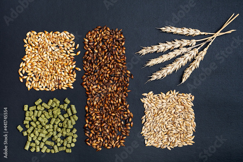 Ingredients for brewers. Pale ale, chocolate and caramel malt grains, green hops and wheat ears, close-up. Craft beer brewing from grain barley malt.