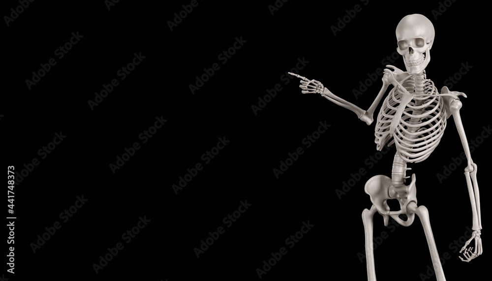 skeleton illustration posing 