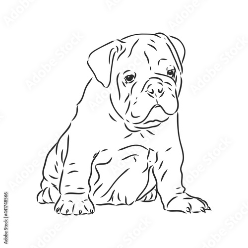 Line art of french bulldog with three difference of face