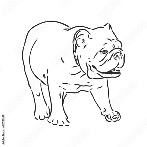 Line art of french bulldog with three difference of face