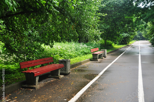 View of the park benches after the rain. Asphalt markings for sports.