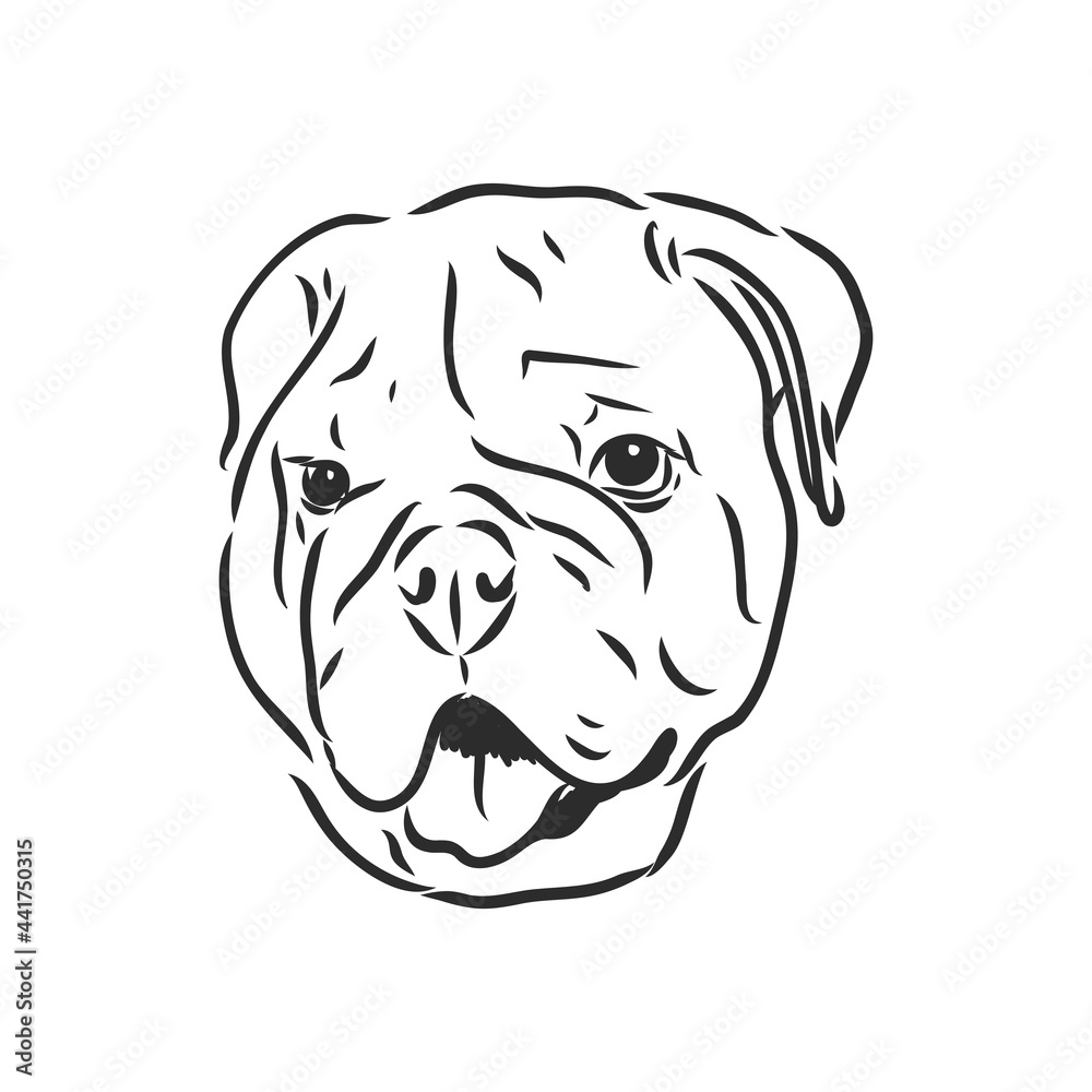 Line art of french bulldog with three difference of face