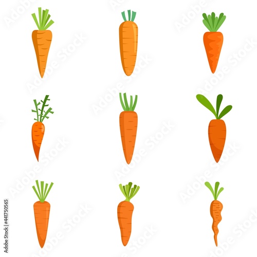Carrot icons set flat vector isolated