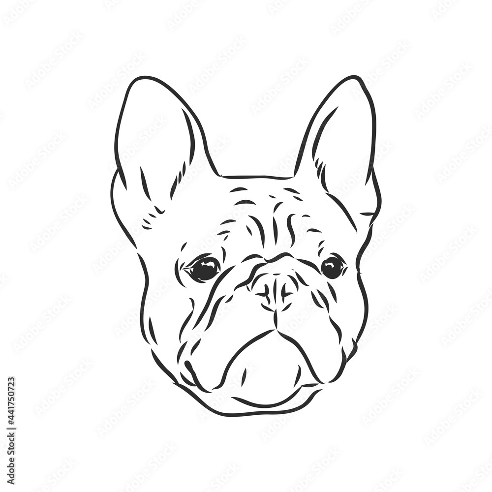 Line art of french bulldog with three difference of face Line art of french bulldog with three difference of face